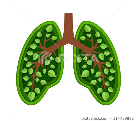 Lungs with green leaves. Isolated 3d vector paper cut concept of Earth environment and ecology conservation, save nature, sustainable world resources, reforestation, clean air and forest restoration 114789896