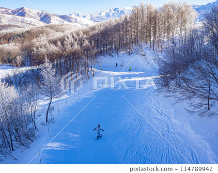 滑雪場斜坡風光 長野縣白馬村 114789942