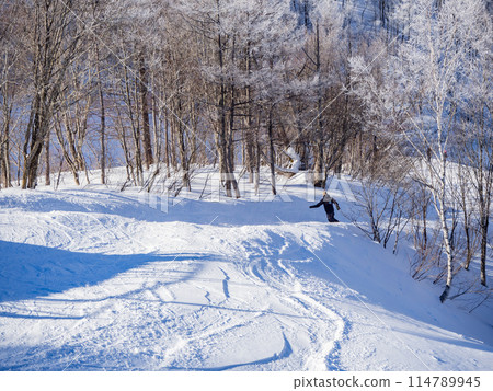 滑雪場斜坡風光 長野縣白馬村 滑雪場斜坡風光 長野縣白馬村 114789945