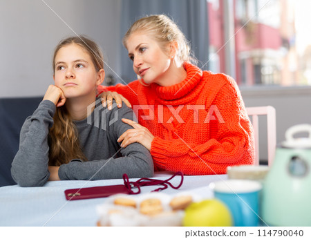 Portrait of woman trying to talk with daughter in home Portrait of woman trying to talk with daughter in home 114790040