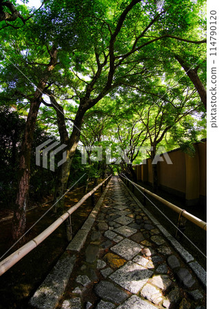 高峰光越寺 114790120