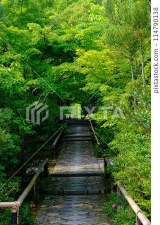 Approach to Kofunji Temple Approach to Kofunji Temple 114790138