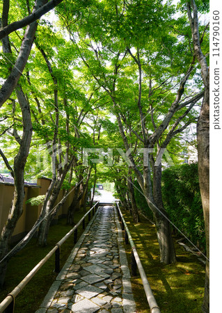 Approach to Kofunji Temple Approach to Kofunji Temple 114790160