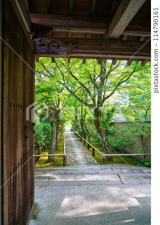 Approach to Kofunji Temple 114790161