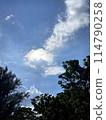 A photo that captures the power of clouds and blue skies 114790258