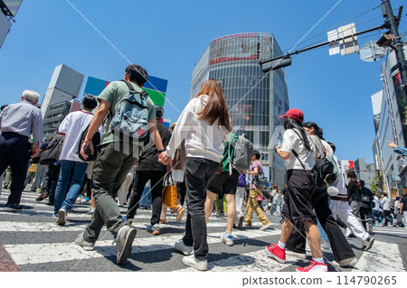 東京澀谷區澀谷交叉路口 114790265