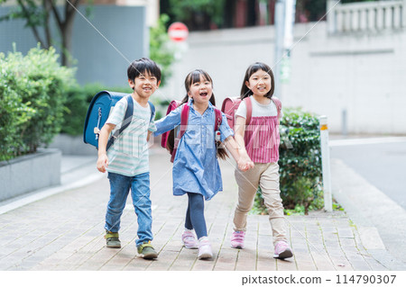 Elementary school students go to school with their friends. 114790307