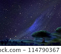 Milky Way seen from trees and cliffs 114790367