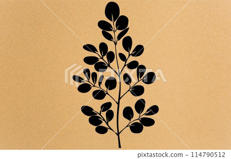 acacia leafs and flowers vector silhouette. Medicinal tree branch with leaves, Acacia set graphic black and white flower leaves seeds 114790512