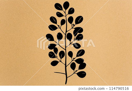 acacia leafs and flowers vector silhouette. Medicinal tree branch with leaves, Acacia set graphic black and white flower leaves seeds acacia leafs and flowers vector silhouette. Medicinal tree branch with leaves, Acacia set graphic black and white flower leaves seeds 114790516