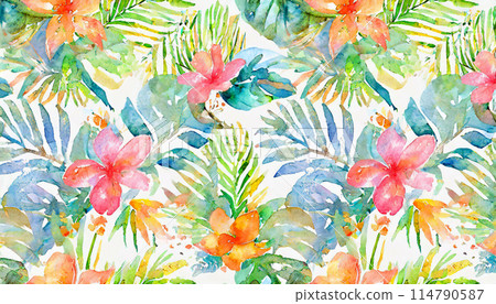 熱帶花卉水彩插圖背景 熱帶花卉水彩插圖背景 114790587