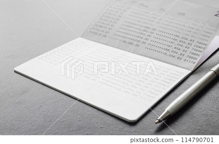 Bank Account Book Statement Balance Number Cash, Hand Holding Data Investment Debt Math in Office, Bill Receipt and Payment Business Credit Card Account, Check Paper Financial Loan Tex Concept. 114790701