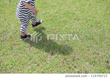 Girls playing on the lawn 114790715
