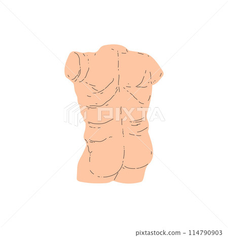 Vector illustration in vintage style depicting a Greek and Roman sculpture of a male body. Vector illustration in vintage style depicting a Greek and Roman sculpture of a male body. 114790903