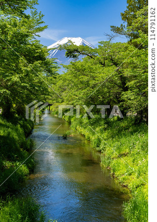 日本鄉村忍野八海的富士山 114791162