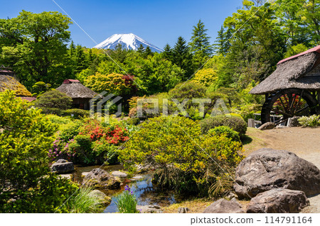 日本鄉村忍野八海的富士山 114791164