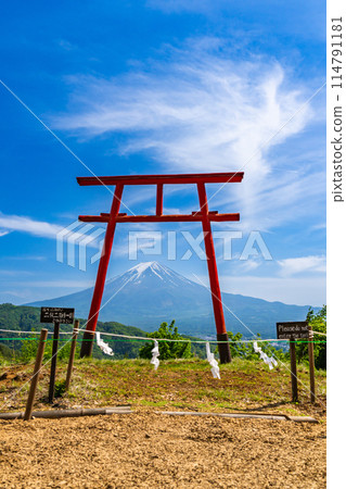 【日本壯觀的風景】初夏的鳥居和天空中的富士山 114791181