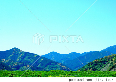 靜岡市新馬市的里山景觀 114791407
