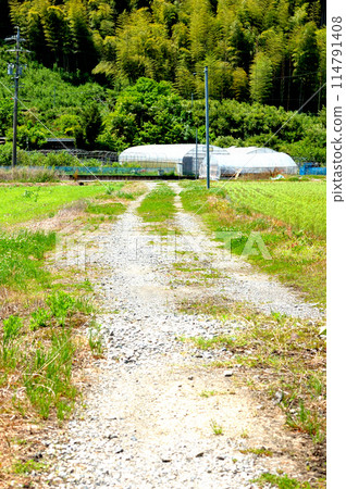One road in the country 114791408