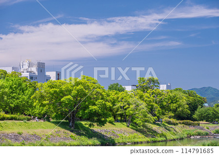 初夏的京都鴨川風景 初夏的京都鴨川風景 114791685