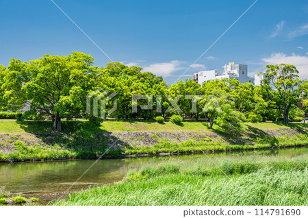 初夏的京都鴨川風景 114791690
