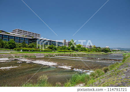 初夏的京都鴨川風景 114791721