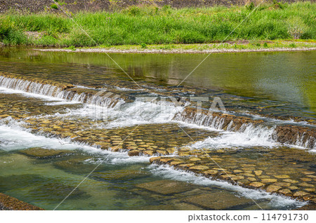 鴨川堰上流下的水 114791730