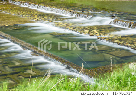 鴨川堰上流下的水 114791734