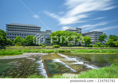初夏的京都鴨川風景 初夏的京都鴨川風景 114791742