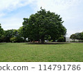 Nogeyama Park Observation Area Square 114791786