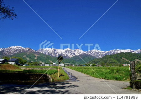 農場道路和阿爾卑斯山（長野縣白馬村） 114791989
