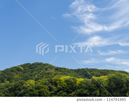 春天的小月山綠意盎然 春天的小月山綠意盎然 114791995