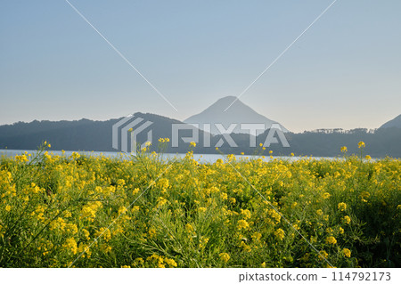 Lake Ikeda enveloped in spring warmth Lake Ikeda enveloped in spring warmth 114792173