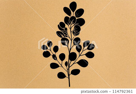 Acacia flower graphic black white isolated silhouette,Collection of silhouette of acacia. Branches, leaves Acacia flower graphic black white isolated silhouette,Collection of silhouette of acacia. Branches, leaves 114792361