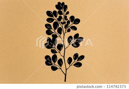 Acacia flower graphic black white isolated silhouette,Collection of silhouette of acacia. Branches, leaves Acacia flower graphic black white isolated silhouette,Collection of silhouette of acacia. Branches, leaves 114792373