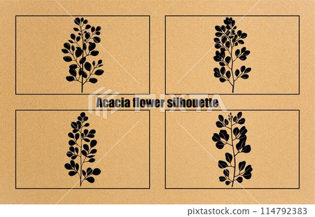 Acacia flower graphic black white isolated silhouette set,Collection of silhouette of acacia set. Branches, leaves Acacia flower graphic black white isolated silhouette set,Collection of silhouette of acacia set. Branches, leaves 114792383
