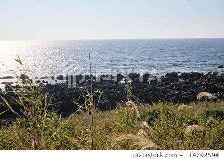 海岸線俯瞰繩狀玄武岩 114792594