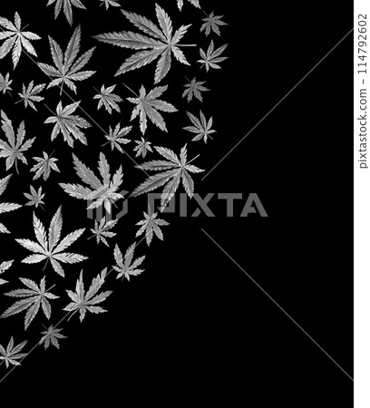 Banner, template with black and white triangle of Cannabis indica, Marijuana medicinal plant. Watercolor illustration Banner, template with black and white triangle of Cannabis indica, Marijuana medicinal plant. Watercolor illustration 114792602