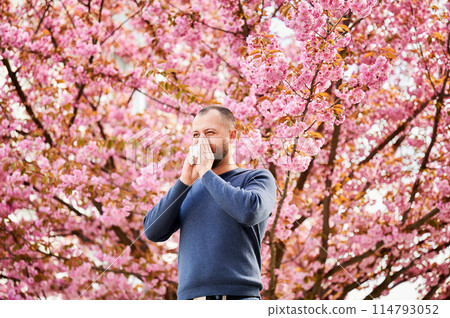 Man allergic suffering from seasonal allergy at spring in blossoming garden at springtime. Man sneezing and blowing nose using nasal handkerchief in front of blooming tree. Spring allergy concept. Man allergic suffering from seasonal allergy at spring in blossoming garden at springtime. Man sneezing and blowing nose using nasal handkerchief in front of blooming tree. Spring allergy concept. 114793052