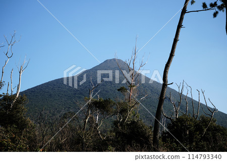 從森林眺望開聞岳 114793340