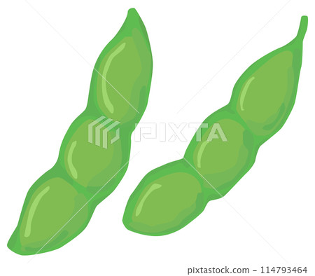 Edamame illustration vector material 114793464