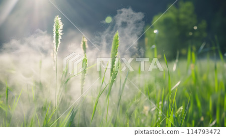 「綠意盎然的季節裡，禾本科植物的花粉四處散落。」<AI生成素材> 114793472