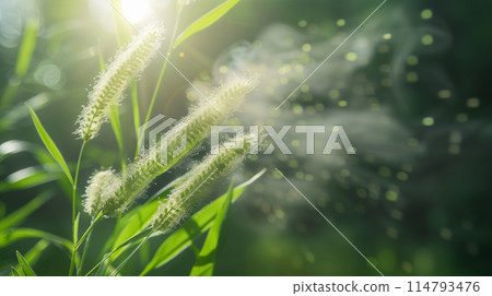 "Pollen from the grass family is flying in the air during the green season." <AI-generated material> 114793476