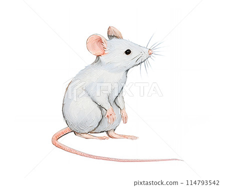 Analog touch, hand-drawn style realistic mouse illustration, oil painting style, painting AI generated image Analog touch, hand-drawn style realistic mouse illustration, oil painting style, painting AI generated image 114793542