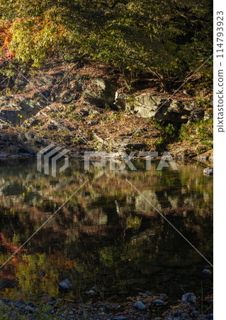 Autumn foliage in Arashiyama Valley, Saitama Prefecture 114793923