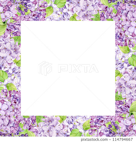 Watercolor frame with purple lilac on a transparent background. Square border of spring flowers in lavender color. Create Provence style wedding invitations, save the date or invitations 114794667