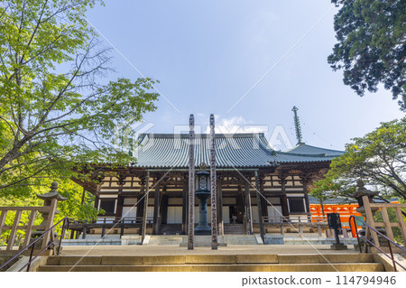 初夏的高野山 團上伽藍近藤 114794946