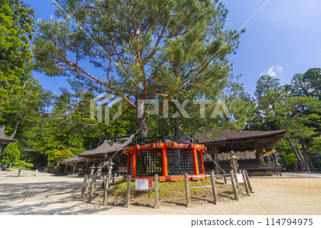 Early summer at Mount Koya: Danjo Garan, Goei-do Hall and Sanko-no-matsu Pine 114794975