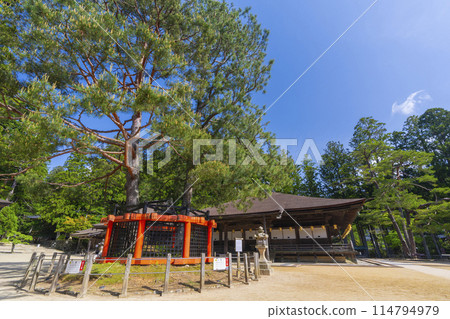初夏的高野山、團上伽藍、禦瑛島和三科塔的松樹 初夏的高野山、團上伽藍、禦瑛島和三科塔的松樹 114794979