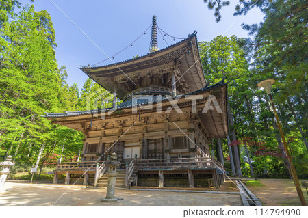 初夏的高野山團上伽藍西塔 114794990